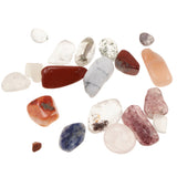 Maxbell Rock and Mineral Collection Geology Gem Kit in Clear Case, Kids Earth Science Toys - Mixed Minerals