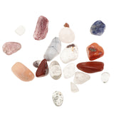 Maxbell Rock and Mineral Collection Geology Gem Kit in Clear Case, Kids Earth Science Toys - Mixed Minerals