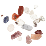 Maxbell Rock and Mineral Collection Geology Gem Kit in Clear Case, Kids Earth Science Toys - Mixed Minerals