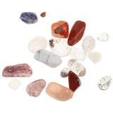 Maxbell Rock and Mineral Collection Geology Gem Kit in Clear Case, Kids Earth Science Toys - Mixed Minerals