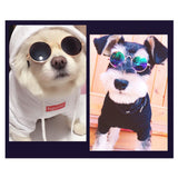 Maxbell Fashion Pet Cat Dog Sunglasses Glasses Accessories Dog Cat Grooming