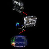 Maxbell Floating Fish Aquarium Hatchery Breeding and Parenting Box with Live Fry Trap