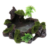 Maxbell Plant Moss Decorative Resin Roack Bowl Food Water Dish Feeder Plate for Terrarium Reptile Tanks