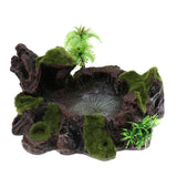 Maxbell Plant Moss Decorative Resin Roack Bowl Food Water Dish Feeder Plate for Terrarium Reptile Tanks
