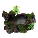 Maxbell Plant Moss Decorative Resin Roack Bowl Food Water Dish Feeder Plate for Terrarium Reptile Tanks