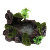 Maxbell Plant Moss Decorative Resin Roack Bowl Food Water Dish Feeder Plate for Terrarium Reptile Tanks