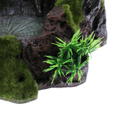 Maxbell Plant Moss Decorative Resin Roack Bowl Food Water Dish Feeder Plate for Terrarium Reptile Tanks