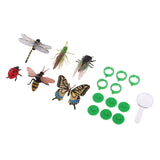 Maxbell Puzzle Science Model Simulation Insect Animal Sand Table Scene Learning Toys