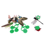 Maxbell Puzzle Science Model Simulation Insect Animal Sand Table Scene Learning Toys