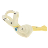 Maxbell Magnification 5x Human Ear Semicircular Canal Cochlear Model Lab Supplies