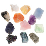 Maxbell Rock & Mineral Collection PK546-5 Geology Science Kit Earth Science Toy - Pack Of 12