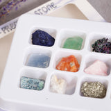 Maxbell Rock & Mineral Collection PK546-5 Geology Science Kit Earth Science Toy - Pack Of 12