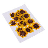 Maxbell 20 Pieces Real Pressed Press Dried Flower Natural Plant Specimen For Nail Art Decoration, Scrapbooking Card, DIY Art Craft, Epoxy Resin Jewelry Making