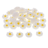 Maxbell 50 Pieces DIY Flatbacks Resin Flat Back Daisy Flowers Cabochon Buttons Scrapbooking Slime Charms DIY Embellishment Craft for Jewelry Phone Decoration