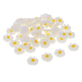 Maxbell 50 Pieces DIY Flatbacks Resin Flat Back Daisy Flowers Cabochon Buttons Scrapbooking Slime Charms DIY Embellishment Craft for Jewelry Phone Decoration