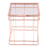 Maxbell Elegant Rose Gold Wire Mesh Pen Pot Pencil Holder / Metal Makeup Brush Holder / Multifunctional