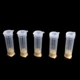 Maxbell Beekeeping Equipment Queen Marking Plunger/Marking/Rearing Cage Grafting Tool