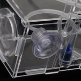 Maxbell Nursery and Hatchery Aquarium Fish Incubator Isolation Acrylic Box 8x4x4inch