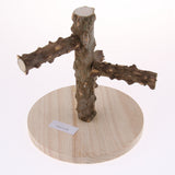 Maxbell Portable Wooden Bird Parrot Desk Stand Training Stand Perch Stand Game Frame
