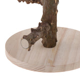 Maxbell Portable Wooden Bird Parrot Desk Stand Training Stand Perch Stand Game Frame