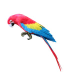 Maxbell Feather Parrot Animal Kid Toy Bird Lawn Figurine Ornament Home Garden Decoration, Outdoor Statues