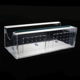 Maxbell Clear Acrylic Window Bird Feeder Suction Cup Fit to Glass #4