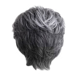 Maxbell Grey Short Hair Wig Heat Resistant Synthetic Hair Fashion Wig With Wig Cap