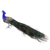 Maxbell Fake Artificial Peacock Bird Feathered Realistic Garden Home Decor Ornament
