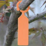Maxbell PP Greenhouse Gardening Plant Ring Hanging Collar Tag Label Orange  Pack of 100