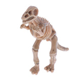 Maxbell Novelty Assorted Dinosaur Fossil Skeleton Figures 12pcs