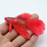 Maxbell Artificial Silicone Soft Glowing Effect Betta Aquarium Fish Tank Decor Red