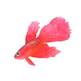 Maxbell Artificial Silicone Soft Glowing Effect Betta Aquarium Fish Tank Decor Red