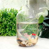 Maxbell Hanging Glass Flower Vase Bottle Hydroponic Terrarium Container Home Decor L