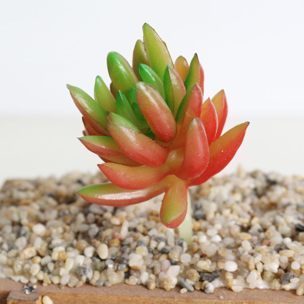 Maxbell 3.54'' Artificial Succulent Plant for Office Home Decoration DIY #13