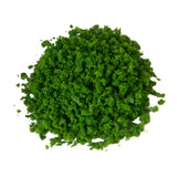 Maxbell Villiform Lime Green Foliage Grass Model Scenic Material Mini Tree Lawn DIY