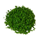 Maxbell Villiform Lime Green Foliage Grass Model Scenic Material Mini Tree Lawn DIY
