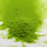 Maxbell Villiform Lime Green Foliage Grass Model Scenic Material Mini Tree Lawn DIY
