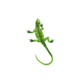 Maxbell Vivid Reptile Animal Rubber Lizard Model Figure Educational Toy - Green