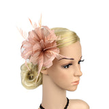 Maxbell Vintage Feather Fascinator 1920s Great Gatsby Hair Clips Bare Pink