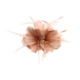 Maxbell Vintage Feather Fascinator 1920s Great Gatsby Hair Clips Bare Pink