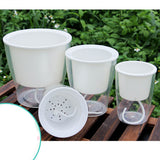 Maxbell Transparent Flower Self-watering Planter Flower Basket Round 80×80×70mm