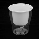 Maxbell Transparent Flower Self-watering Planter Flower Basket Round 80×80×70mm