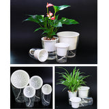 Maxbell Transparent Flower Self-watering Planter Flower Basket Round 130×130×150mm