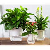 Maxbell Transparent Flower Self-watering Planter Flower Basket Square   175×175mm