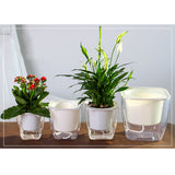 Maxbell Transparent Flower Self-watering Planter Flower Basket Square   175×175mm