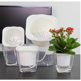Maxbell Transparent Flower Self-watering Planter Flower Basket Square   175×175mm