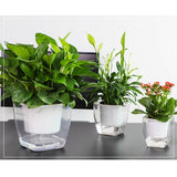 Maxbell Transparent Flower Self-watering Planter Flower Basket Square   175×175mm