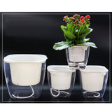Maxbell Transparent Flower Self-watering Planter Flower Basket Square   175×175mm