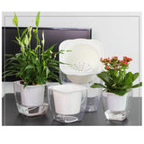Maxbell Transparent Flower Self-watering Planter Flower Basket Square   175×175mm