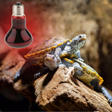 Maxbell Reptile Tortoise Amphibian Nightlight Infrared Light E27 Base Heat Lamp 75W